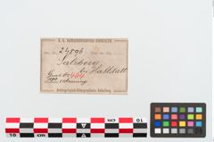 Etiketten zu Bronzehohlbuckelarmreif (NHMW-PRAE-024896)